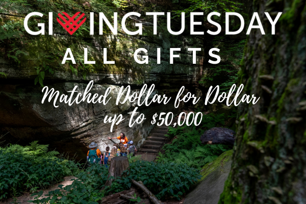 Students observing ledges with Giving Tuesday All Gfits Matched Dollar for Dollar Up To $50,000