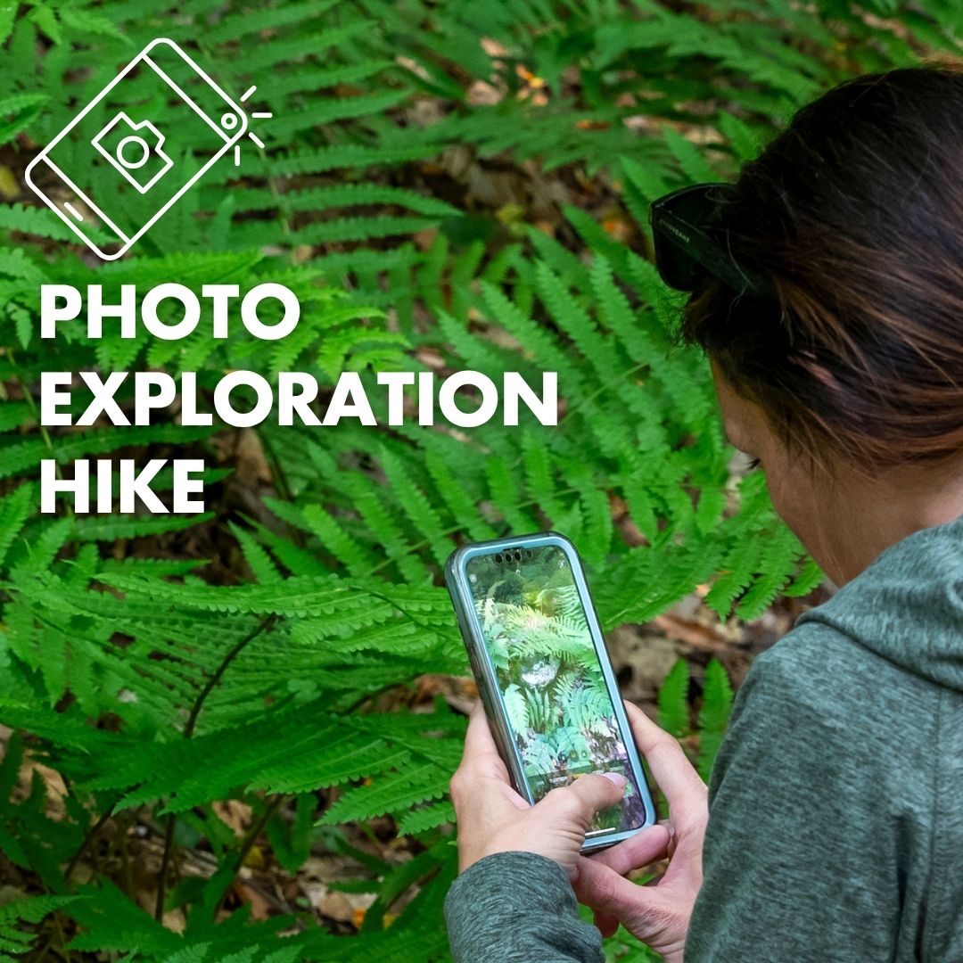 A photo of a person taking pictures of ferns in a forest using a cell phone camera. Text added to the photo reads: Photo Exploration Hike.