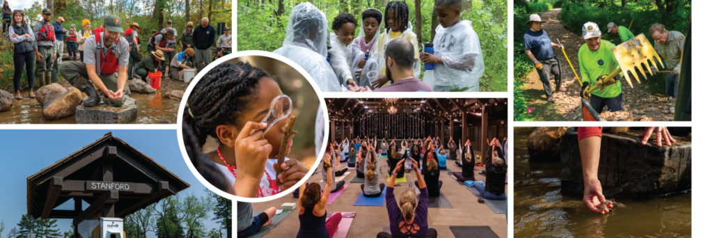 Collage of Photos from students to yoga in the park.