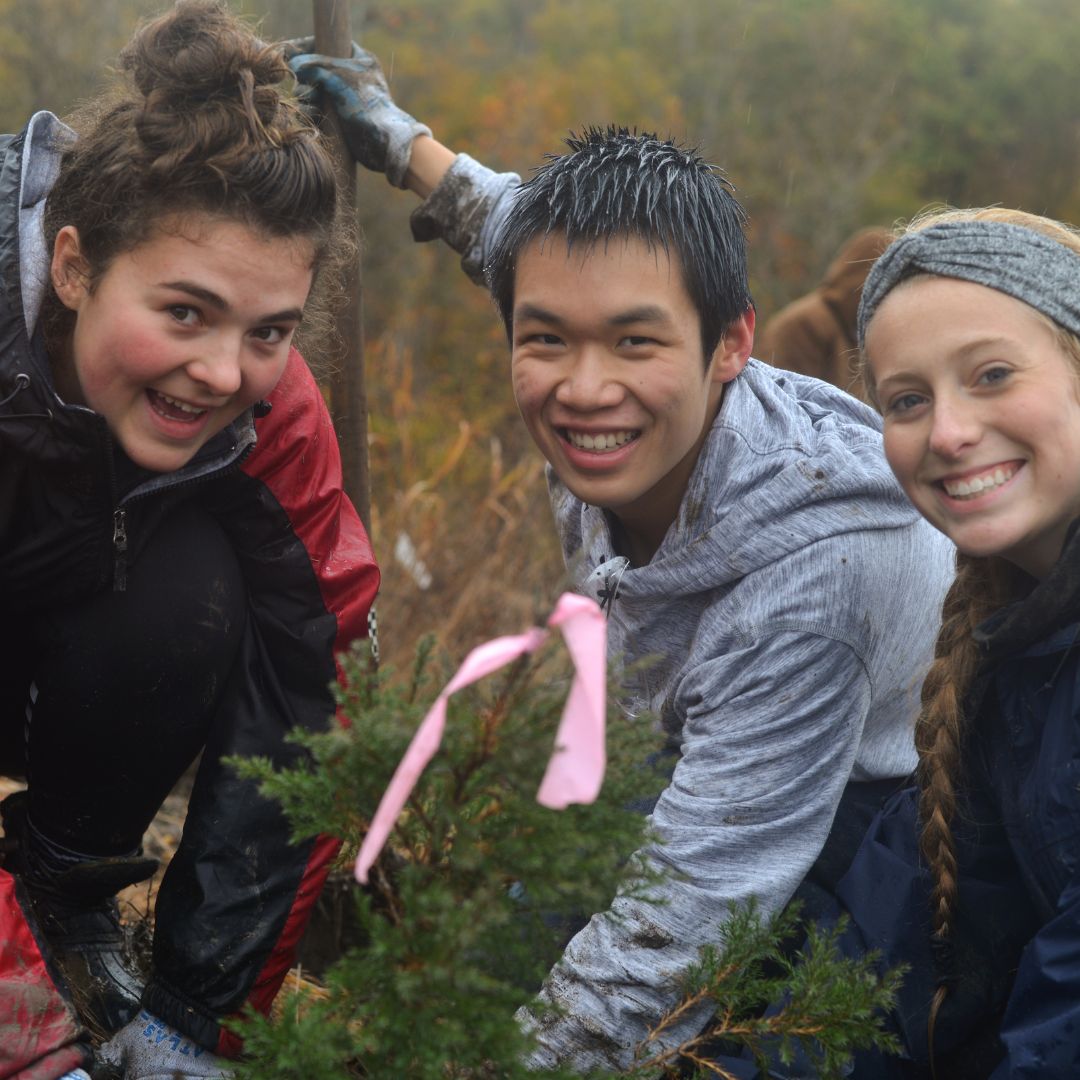 An image of three people planting a tree in Cuyahoga Valley National Park.