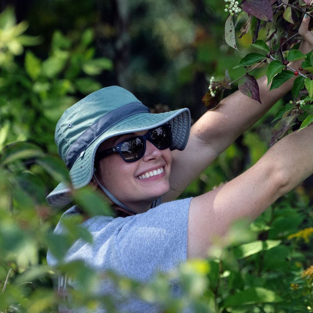 A photo of a smiling woman reaching into a bush to collect seeds.