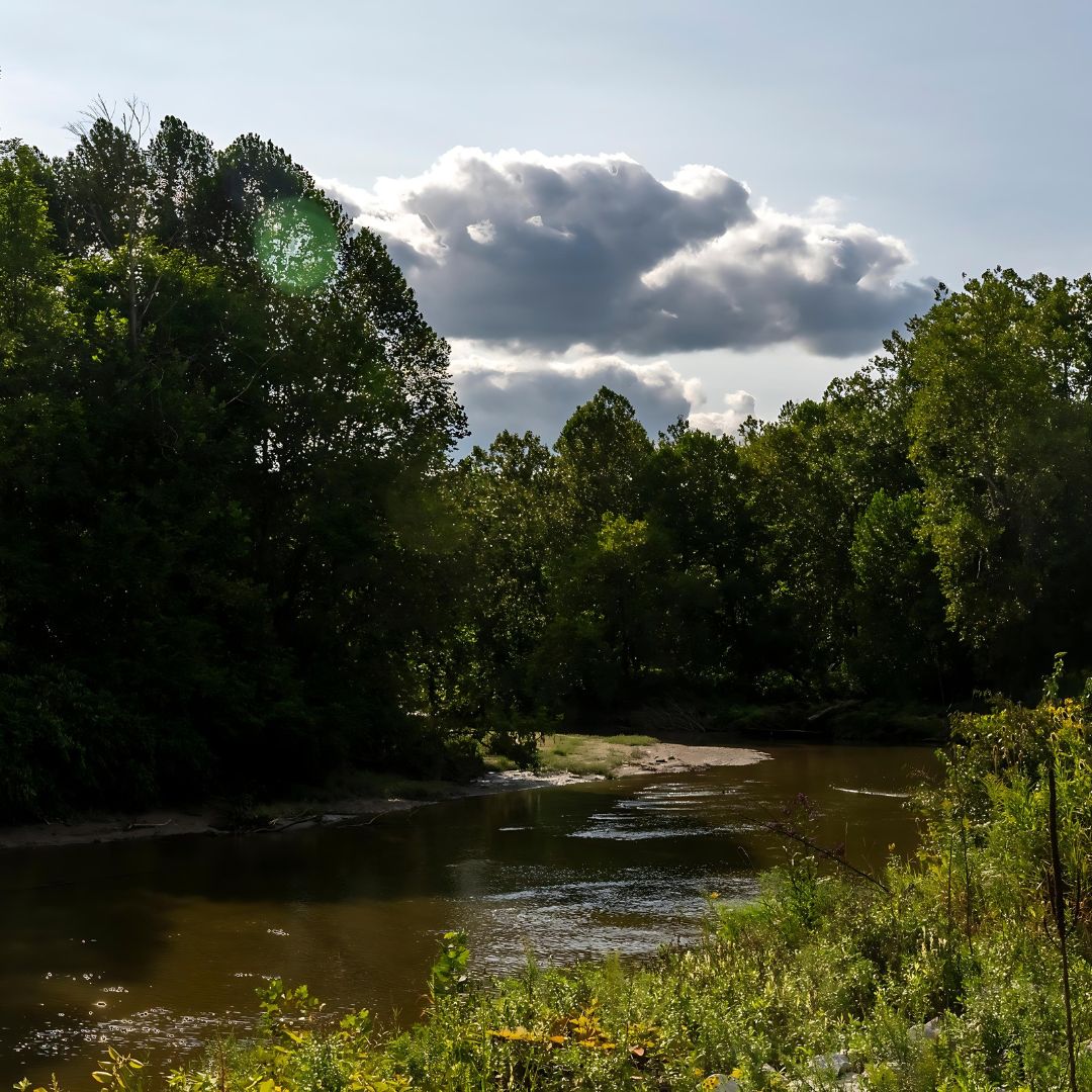 An image of the Cuyahoga River at the Oxbow Meadows Project Site in Cuyahoga Valley National Park.