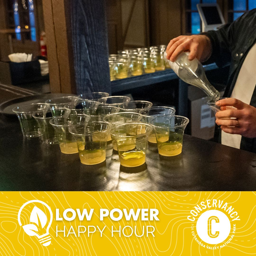 A photo of a bartender poring wine. Filled wine cups fill the bar top.