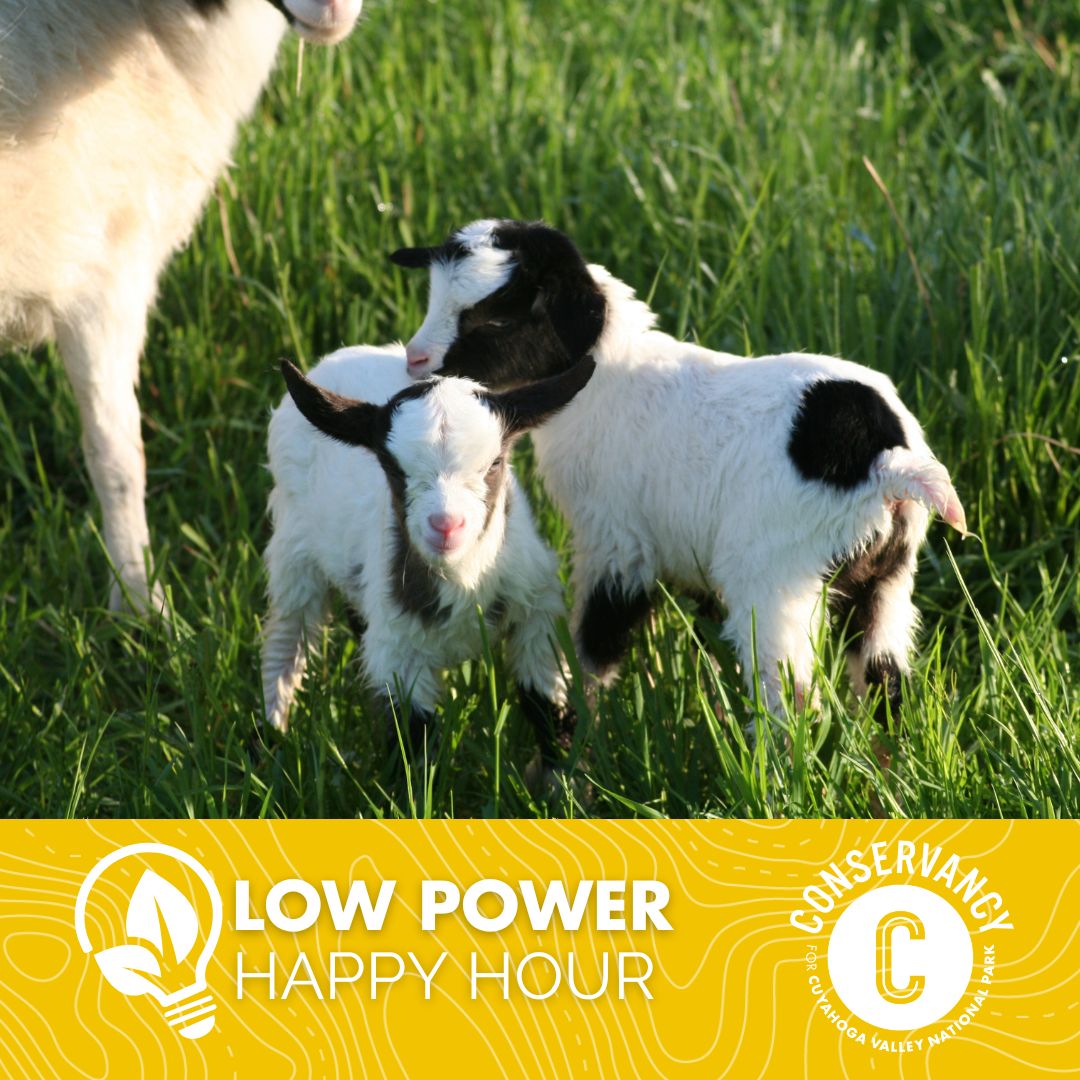 A graphic with a photo of two young goats and an adult goat in grass. Words on the graphic read: Low Power Happy Hour. A Conservancy for CVNP logo is also included.