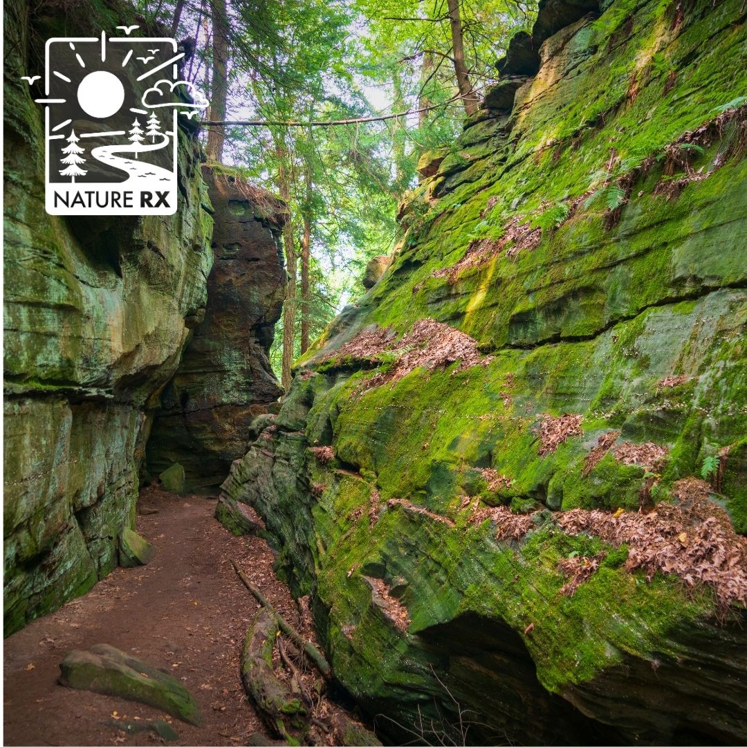 A picture of moss-covered rock formations at the Ledges in Cuyahoga Valley National Park.