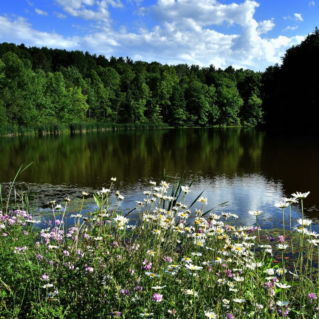 The Sylvan Pond in Cuyahoga Valley National Park.