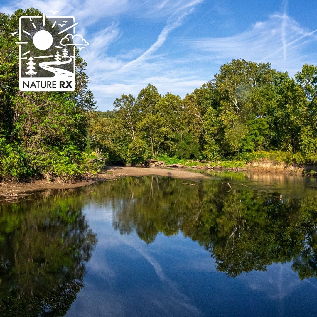 A view of part of the Cuyahoga River in Cuyahoga Valley National Park. Green trees surround the river and the sky is blue with wispy clouds.