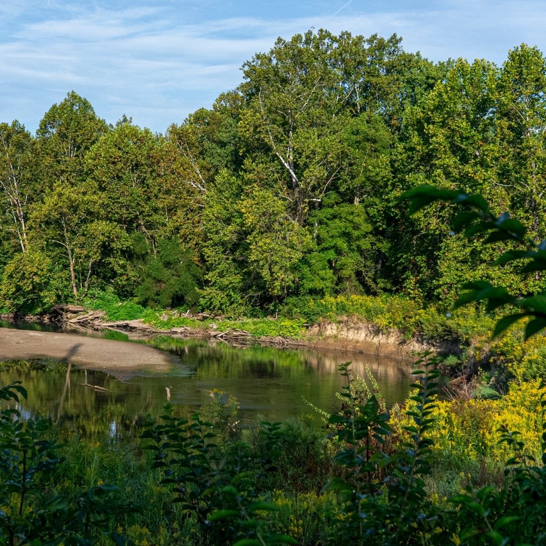 A photo of the Cuyahoga River at the Oxbow Meadows Project site in Cuyahoga Valley National Park. Trees with green leaves and plants line the banks.
